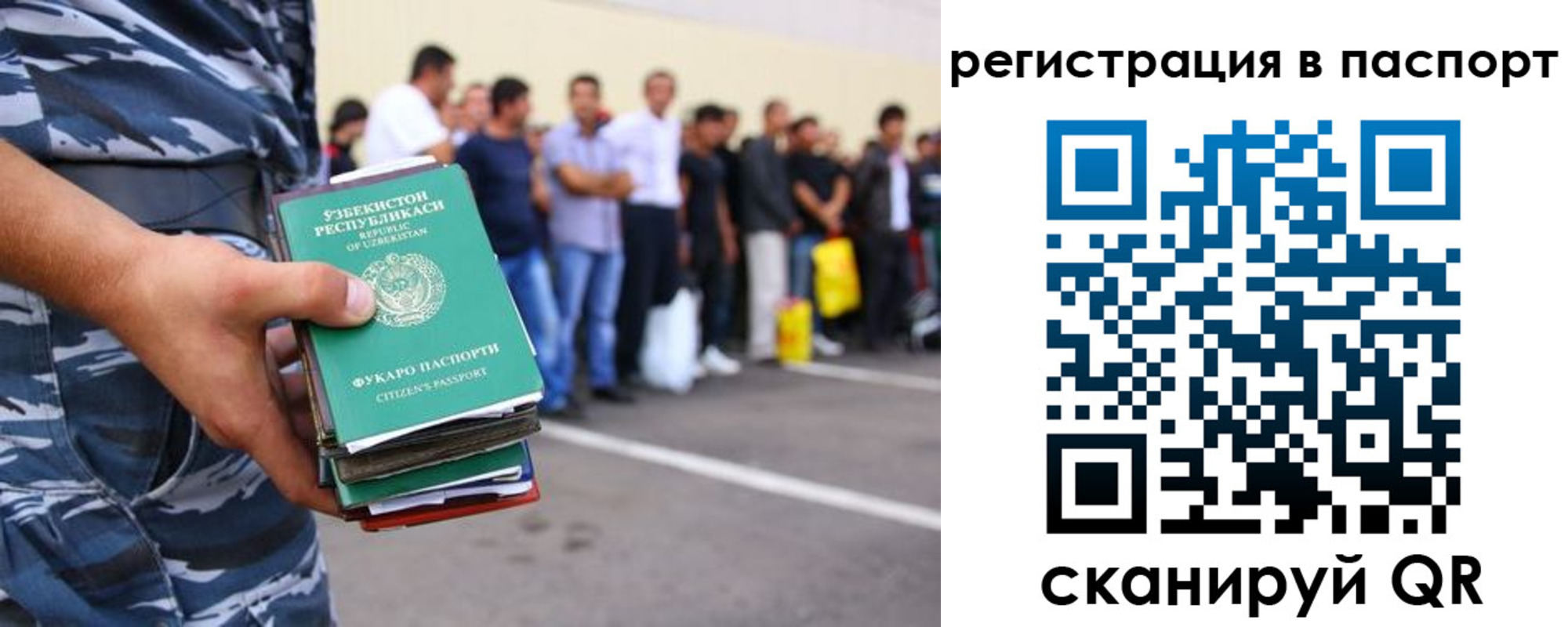 прописка поиск в Лесозаводске